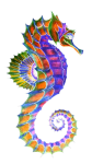 Cosmic Seahorse blacklight_clipped_rev_1